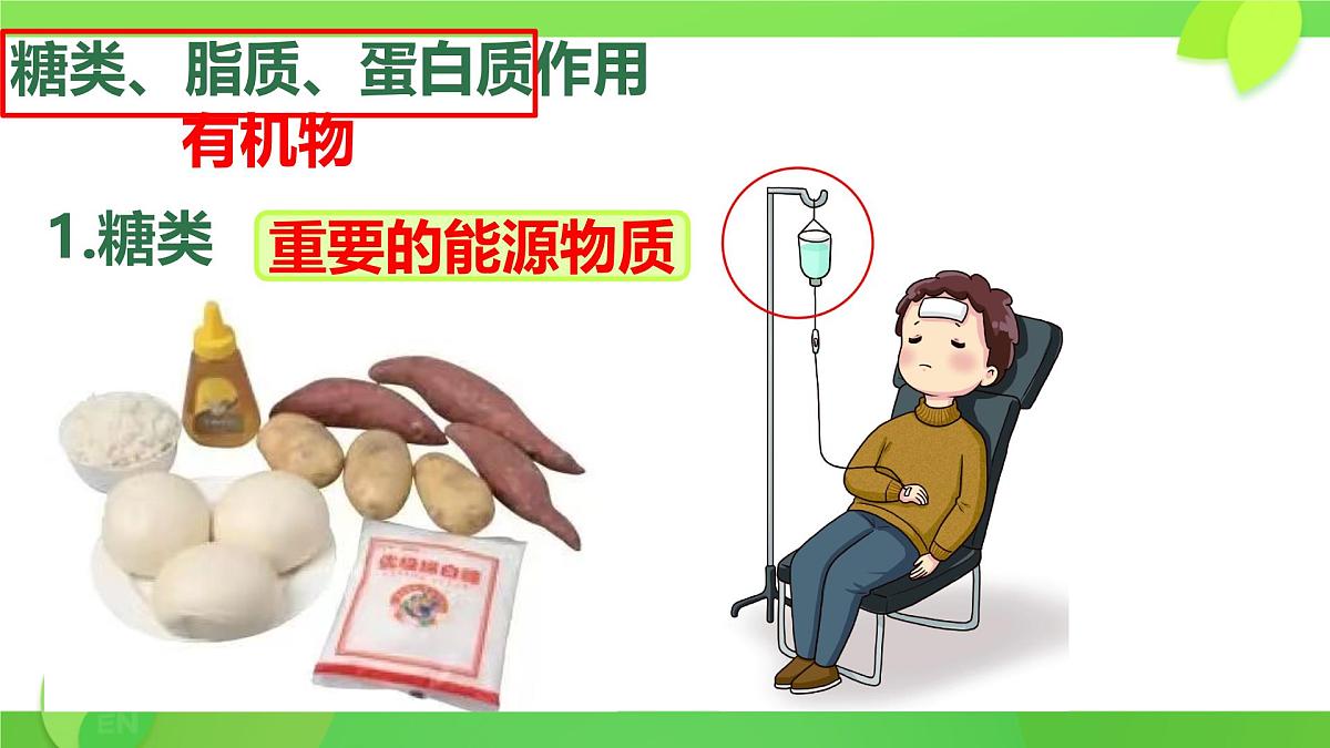 初中生物人教版（2024）七年级下册4.2.1 食物中的营养物质 课件第3页