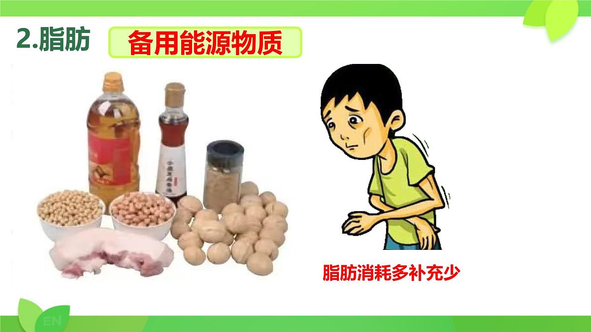 初中生物人教版（2024）七年级下册4.2.1 食物中的营养物质 课件第4页