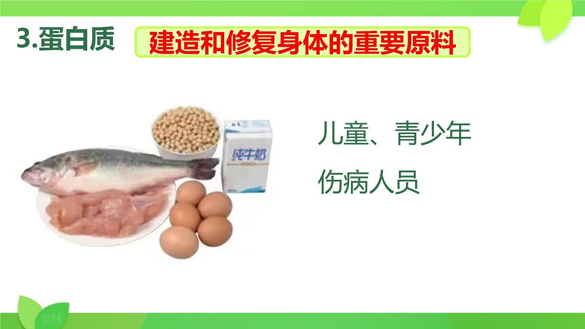 初中生物人教版（2024）七年级下册4.2.1 食物中的营养物质 课件第5页
