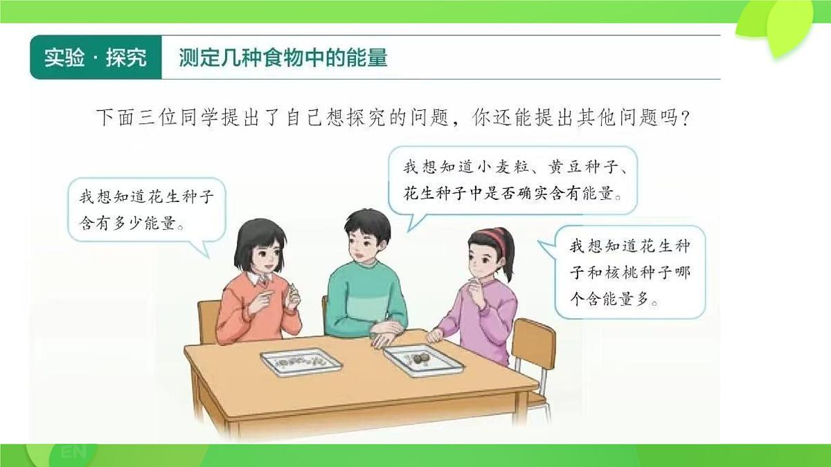 初中生物人教版（2024）七年级下册4.2.1 食物中的营养物质 课件第6页