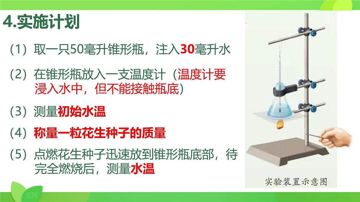 初中生物人教版（2024）七年级下册4.2.1 食物中的营养物质 课件第8页