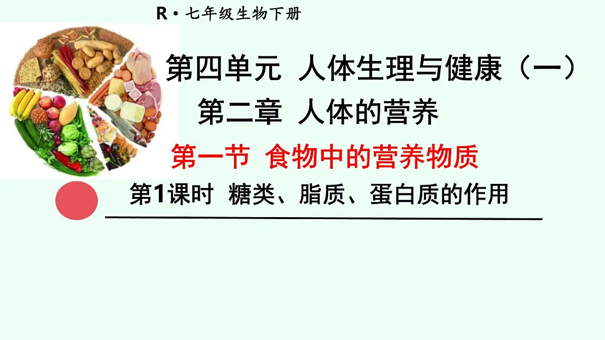 初中生物人教版（2024）七年级下册4.2.1 食物中的营养物质 课件第2页