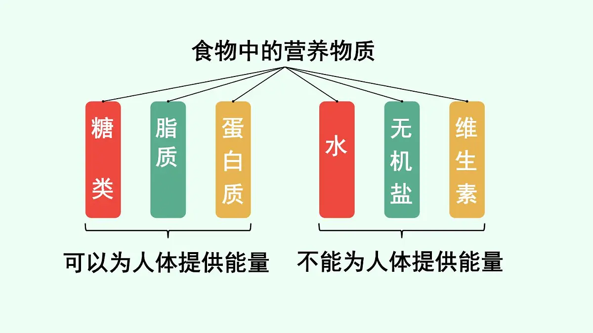 初中生物人教版（2024）七年级下册4.2.1 食物中的营养物质 课件第4页
