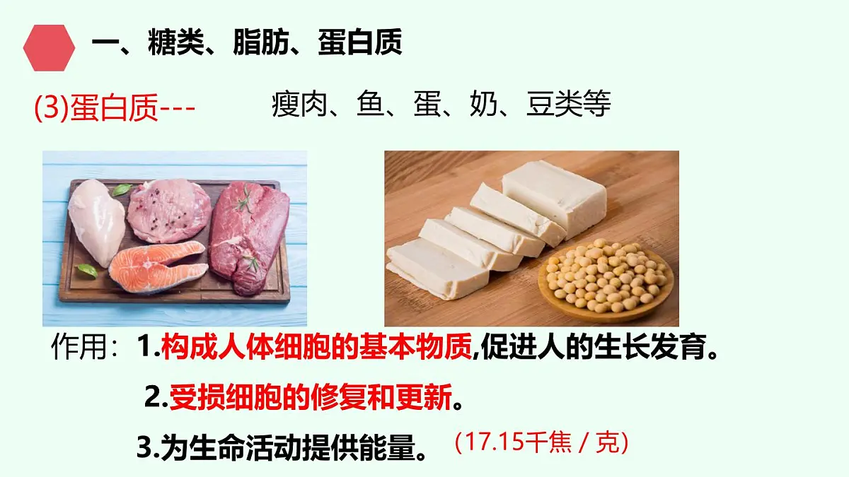 初中生物人教版（2024）七年级下册4.2.1 食物中的营养物质 课件第7页