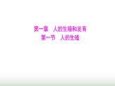 人教版七年级生物下册第四单元第一章第一节人的生殖课件