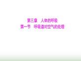 人教版七年级生物下册第四单元第三章第一节呼吸道对空气的处理课件