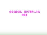 人教版七年級(jí)生物下冊(cè)綜合實(shí)踐項(xiàng)目2設(shè)計(jì)并制作人體結(jié)構(gòu)模型課件