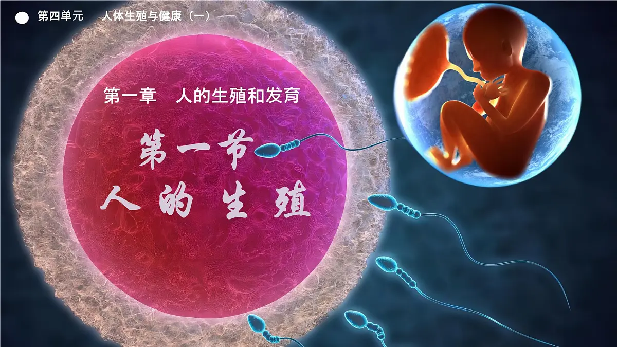 初中生物人教版（2024）七年级下册4.1.1 人的生殖 课件第1页
