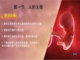 初中生物人教版（2024）七年級(jí)下冊(cè)4.1.1 人的生殖 課件