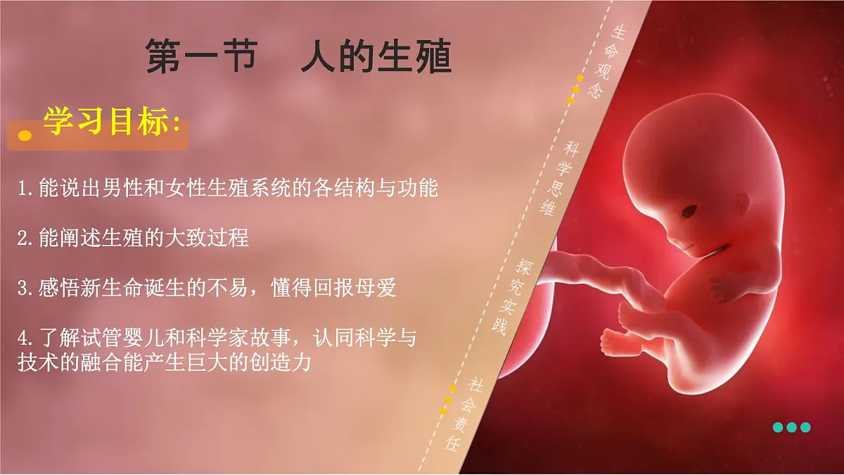 初中生物人教版（2024）七年级下册4.1.1 人的生殖 课件第2页