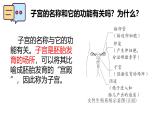 初中生物人教版（2024）七年級(jí)下冊(cè)4.1.1 人的生殖 課件