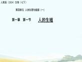 初中生物人教版（2024）七年級(jí)下冊(cè)4.1.1 人的生殖 課件