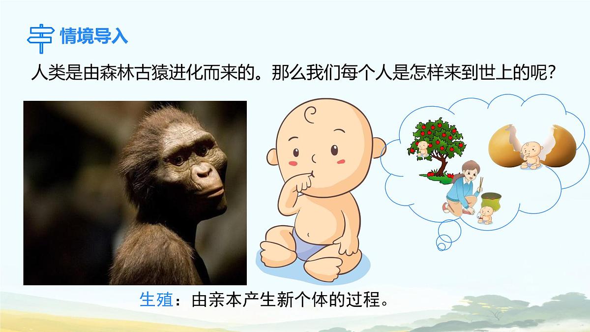初中生物人教版（2024）七年级下册4.1.1 人的生殖 课件第3页