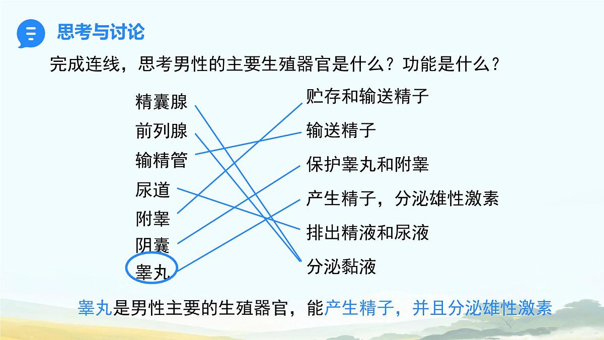初中生物人教版（2024）七年级下册4.1.1 人的生殖 课件第6页