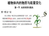 初中生物人教版（2024）七年級下冊3.2.1 水的利用與散失 課件