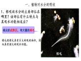 初中生物人教版（2024）七年級下冊3.2.1 水的利用與散失 課件