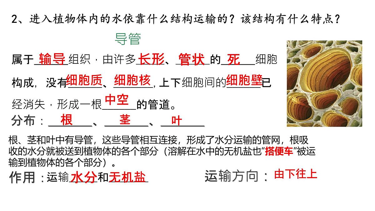 初中生物人教版（2024）七年级下册3.2.1 水的利用与散失 课件第5页