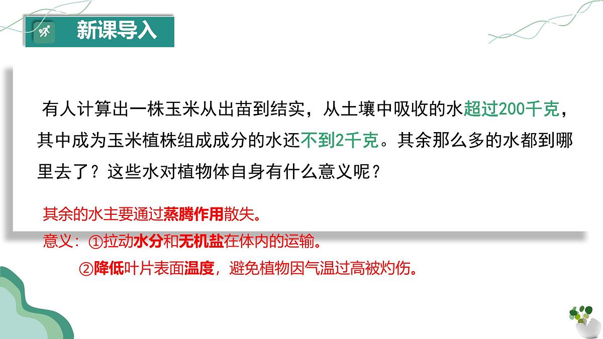 初中生物人教版（2024）七年级下册3.2.1 水的利用与散失 课件第2页