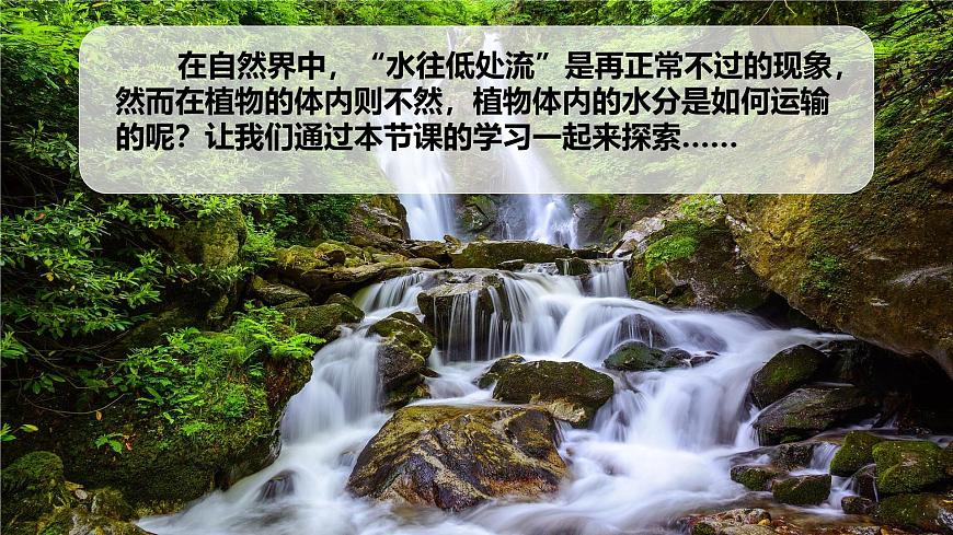 初中生物人教版（2024）七年级下册3.2.1 水的利用与散失 课件第1页