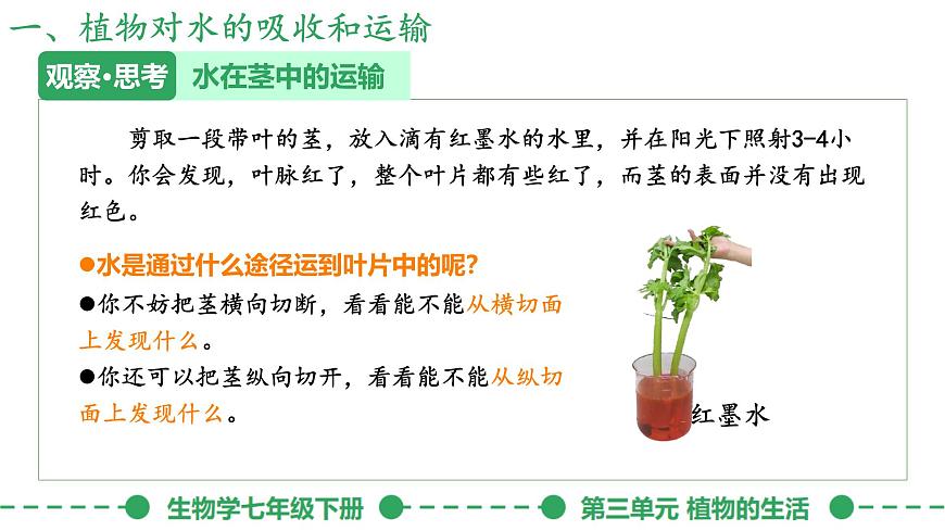 初中生物人教版（2024）七年级下册3.2.1 水的利用与散失 课件第5页