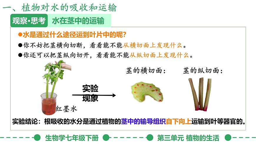 初中生物人教版（2024）七年级下册3.2.1 水的利用与散失 课件第6页