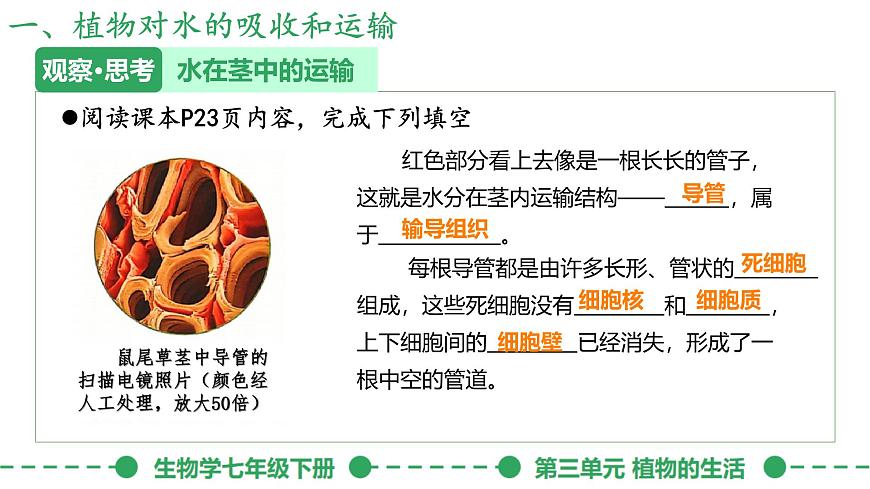 初中生物人教版（2024）七年级下册3.2.1 水的利用与散失 课件第7页
