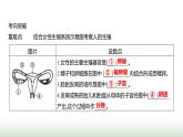 人教版七年級生物下冊第四單元綜合回顧(一)課件