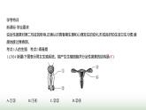 人教版七年級生物下冊第四單元綜合回顧(一)課件