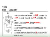 人教版七年級生物下冊第四單元綜合回顧(三)課件