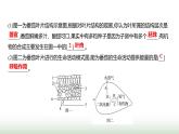 人教版七年級生物下冊素養(yǎng)提升專項課件