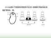 人教版七年級生物下冊階段質(zhì)量測評卷(一)(第三單元第一章)課件
