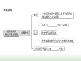 人教版七年級生物下冊第三單元綜合回顧(二)課件