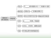 人教版七年級生物下冊第三單元綜合回顧(二)課件