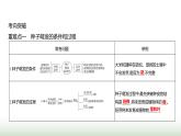 人教版七年級生物下冊第三單元綜合回顧(一)課件