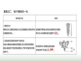 人教版七年級生物下冊第三單元綜合回顧(一)課件