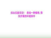 人教版七年級生物下冊綜合實踐項目1栽培一種植物,探究所需的環(huán)境條件課件