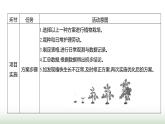 人教版七年級生物下冊綜合實踐項目1栽培一種植物,探究所需的環(huán)境條件課件