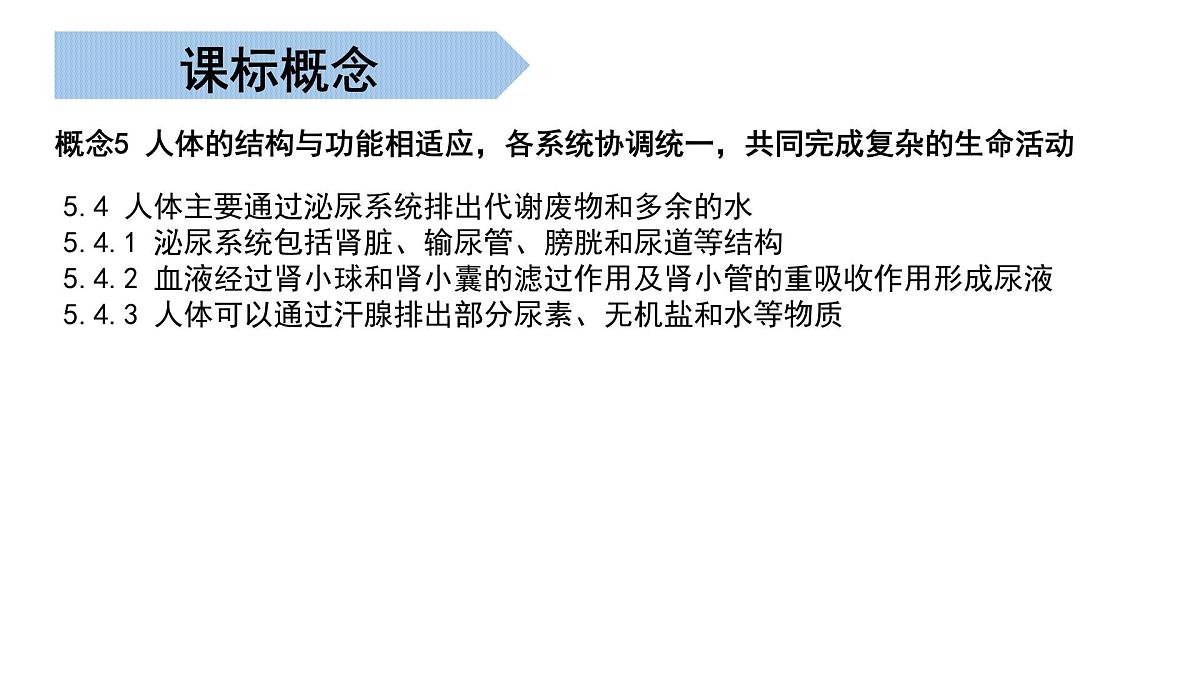 第2章 生物的排泄 2025学年七年级生物下学期期中考点大串讲（北京版2024）课件第2页