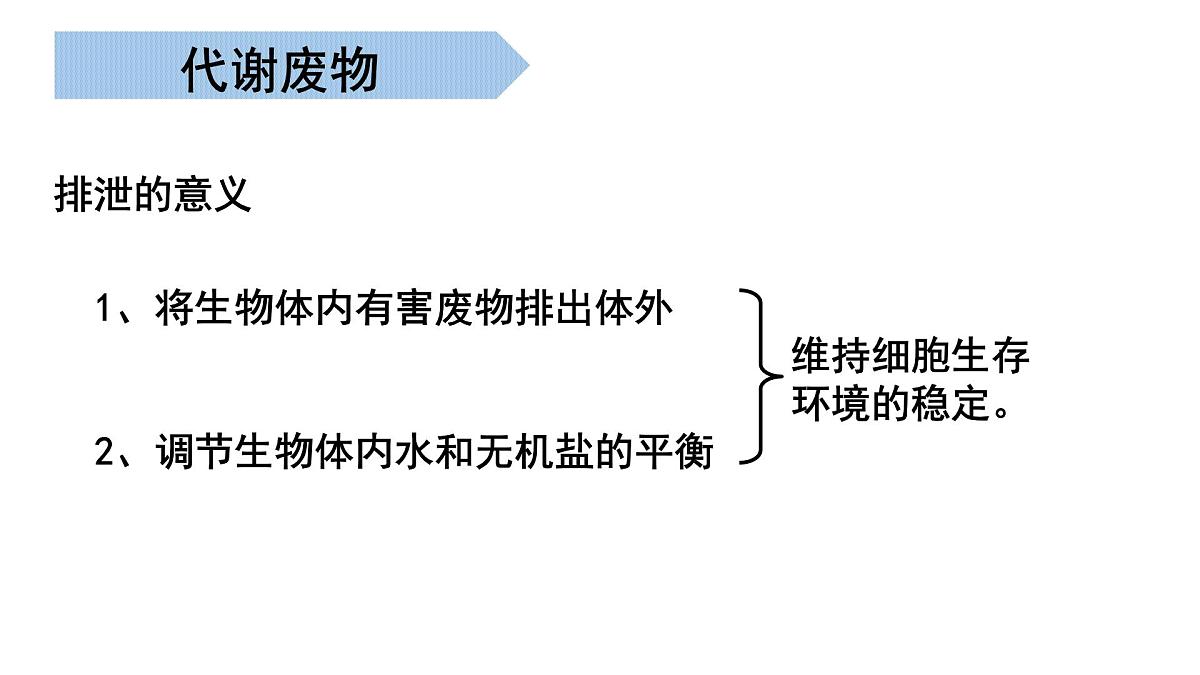 第2章 生物的排泄 2025学年七年级生物下学期期中考点大串讲（北京版2024）课件第5页