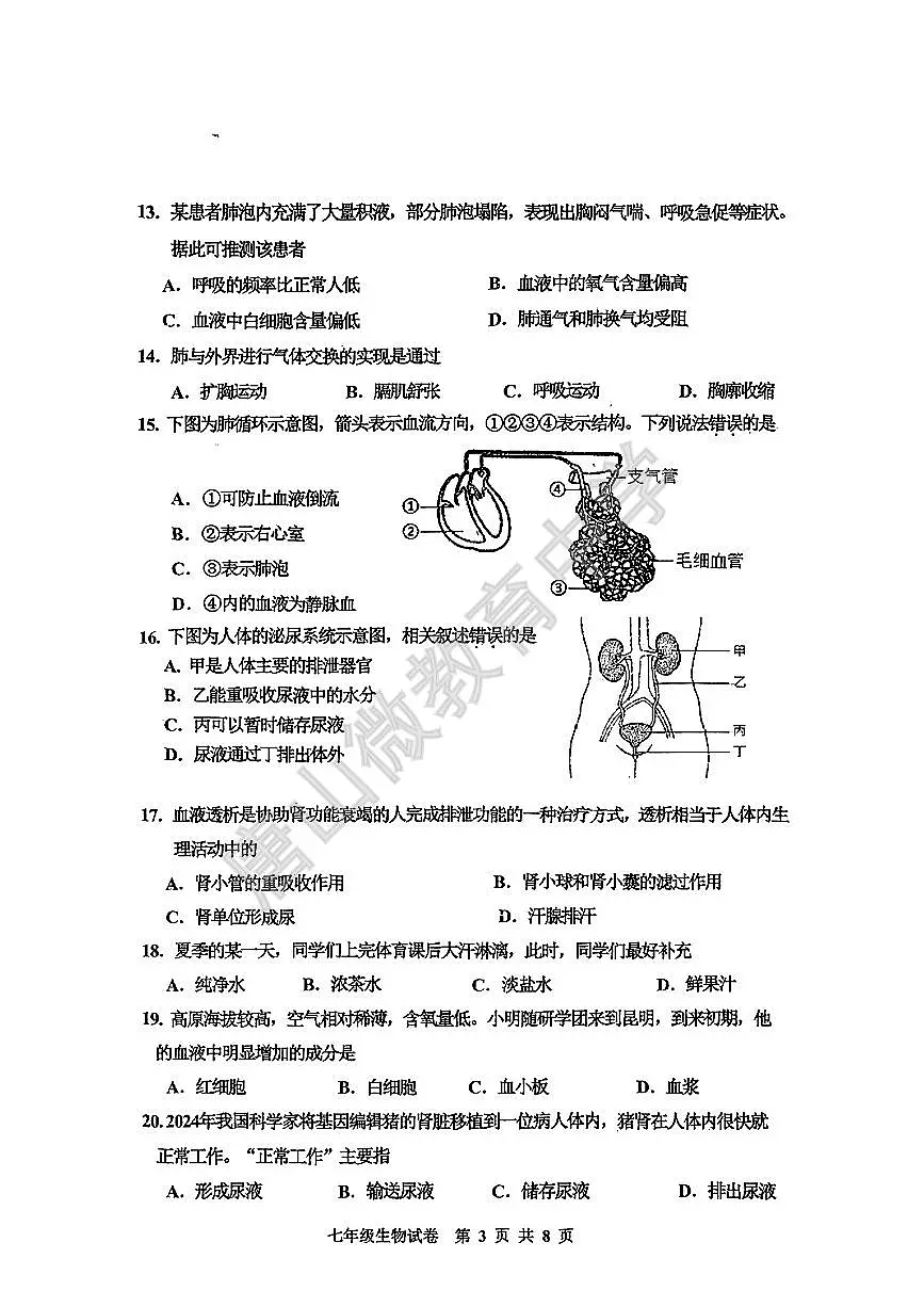 2024-2025学年第二学期河北省唐山市路南区七年级期中生物试题含答案第3页