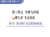 初中生物蘇教版（2024）七年級(jí)下冊(cè)3.7.1 生態(tài)系統(tǒng)的構(gòu)成第2課時(shí) 課件