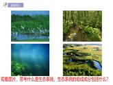 初中生物蘇教版（2024）七年級(jí)下冊(cè)3.7.1 生態(tài)系統(tǒng)的構(gòu)成第2課時(shí) 課件