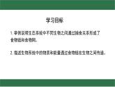 初中生物蘇教版（2024）七年級下冊3.7.2 食物鏈和食物網 課件