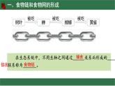 初中生物蘇教版（2024）七年級下冊3.7.2 食物鏈和食物網 課件