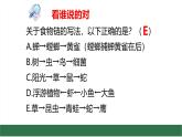 初中生物蘇教版（2024）七年級下冊3.7.2 食物鏈和食物網 課件