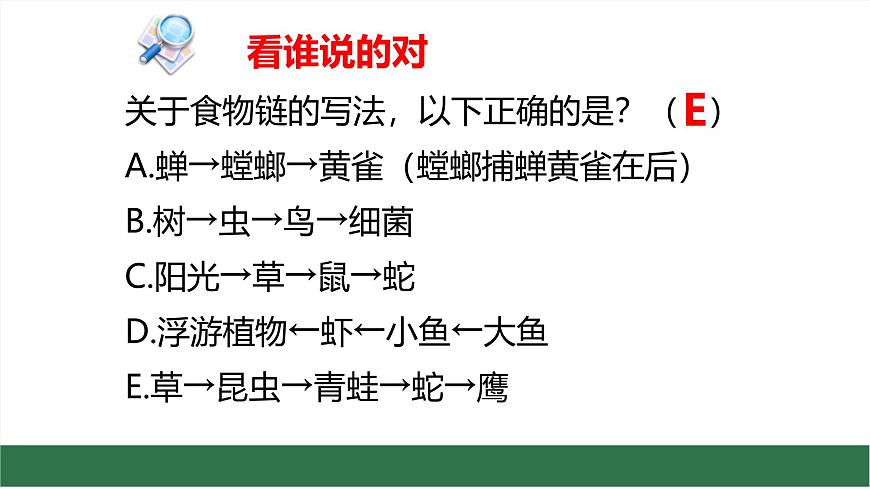 初中生物苏教版（2024）七年级下册3.7.2 食物链和食物网 课件第5页