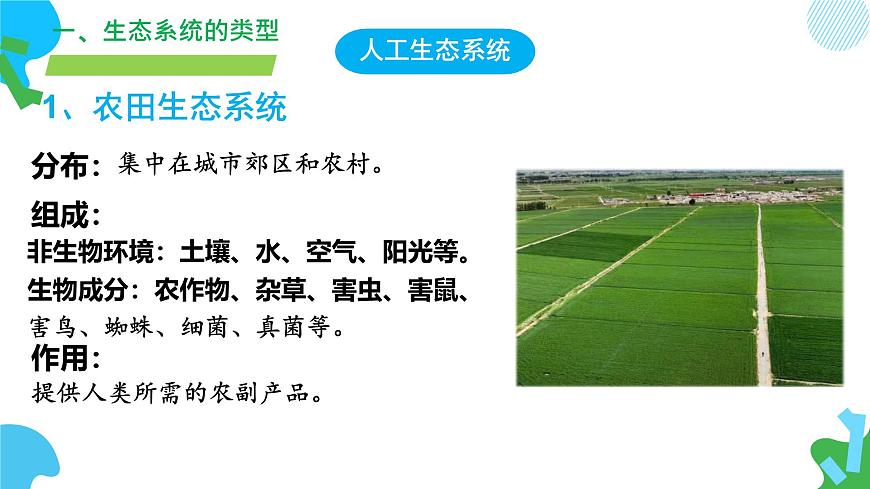 初中生物苏教版（2024）七年级下册3.7.3 生物圈 课件第7页