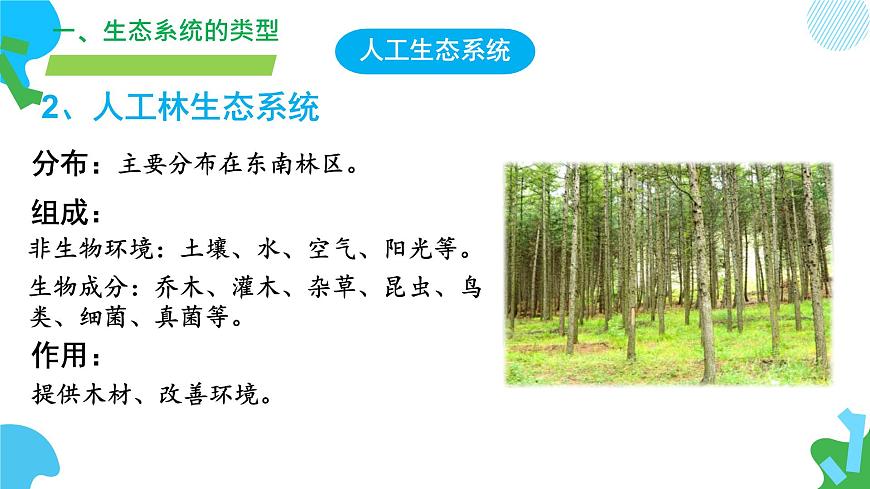 初中生物苏教版（2024）七年级下册3.7.3 生物圈 课件第8页