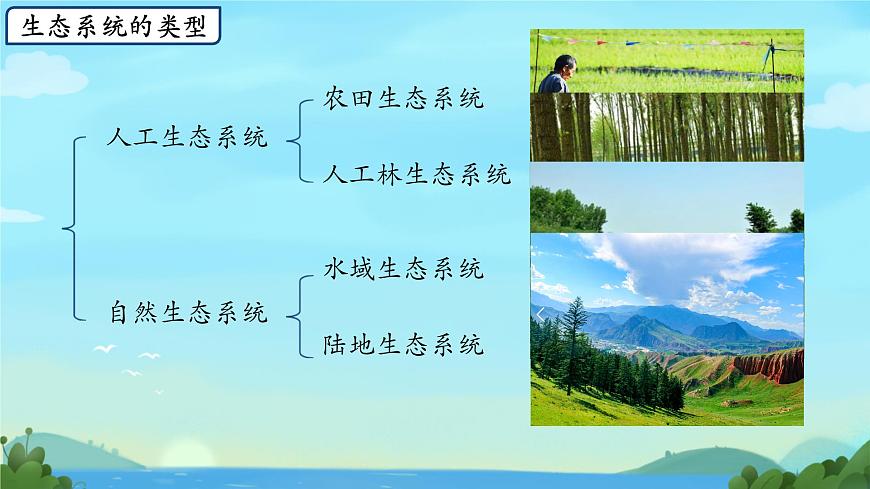 初中生物苏教版（2024）七年级下册3.7.3 生物圈 课件第6页