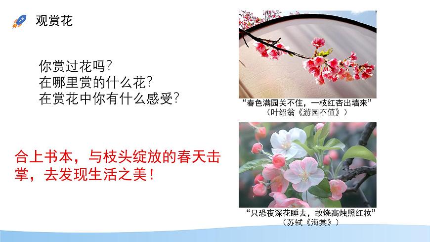 初中生物苏教版（2024）七年级下册4.9.3 植物的繁殖 课件第2页